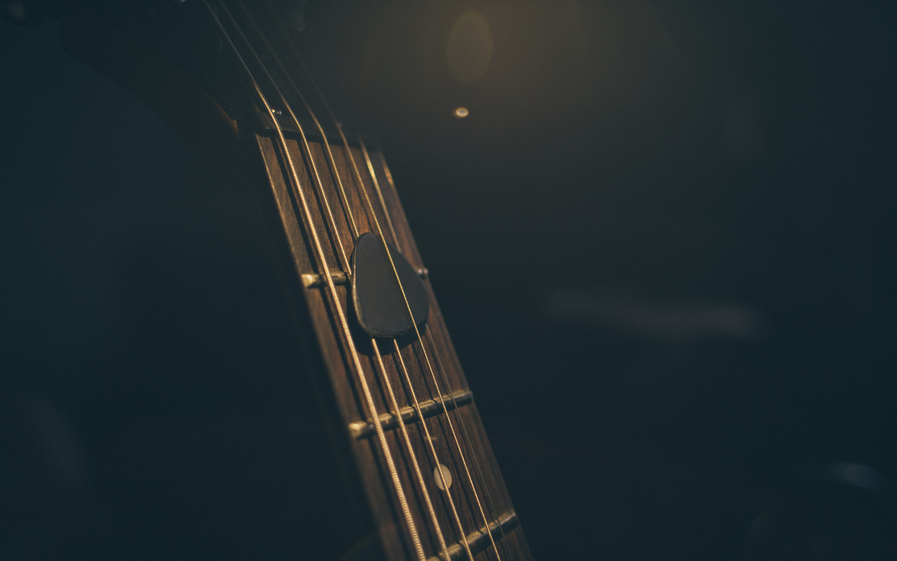 Guitar